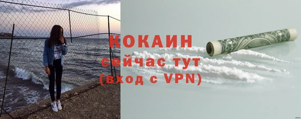 PSILOCYBIN Богданович