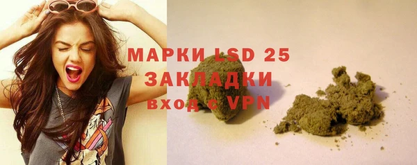 PSILOCYBIN Богданович