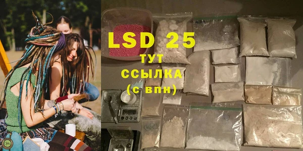 PSILOCYBIN Богданович
