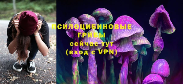 PSILOCYBIN Богданович