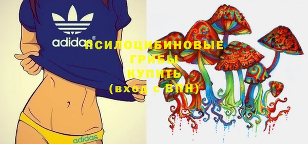 прущая мука Богородицк