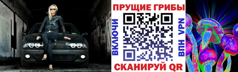 закладка  Красноперекопск  Галлюциногенные грибы MAGIC MUSHROOMS 